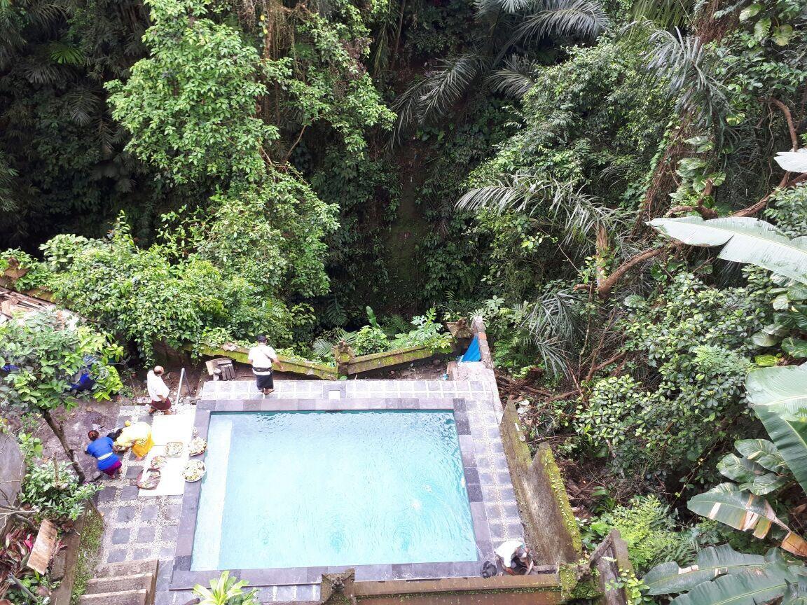 Anggrek Mas Bed & Breakfast Hostel Ubud  Luaran gambar